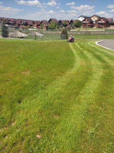 Intretinere Spatii Verzi